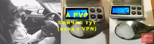 мяу мяу мука Вязьма