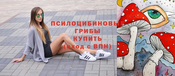 мяу мяу мука Вязьма