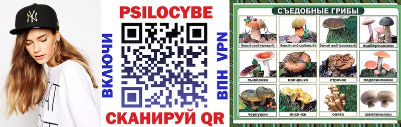 blacksprut ссылка  Иноземцево  Галлюциногенные грибы мицелий 